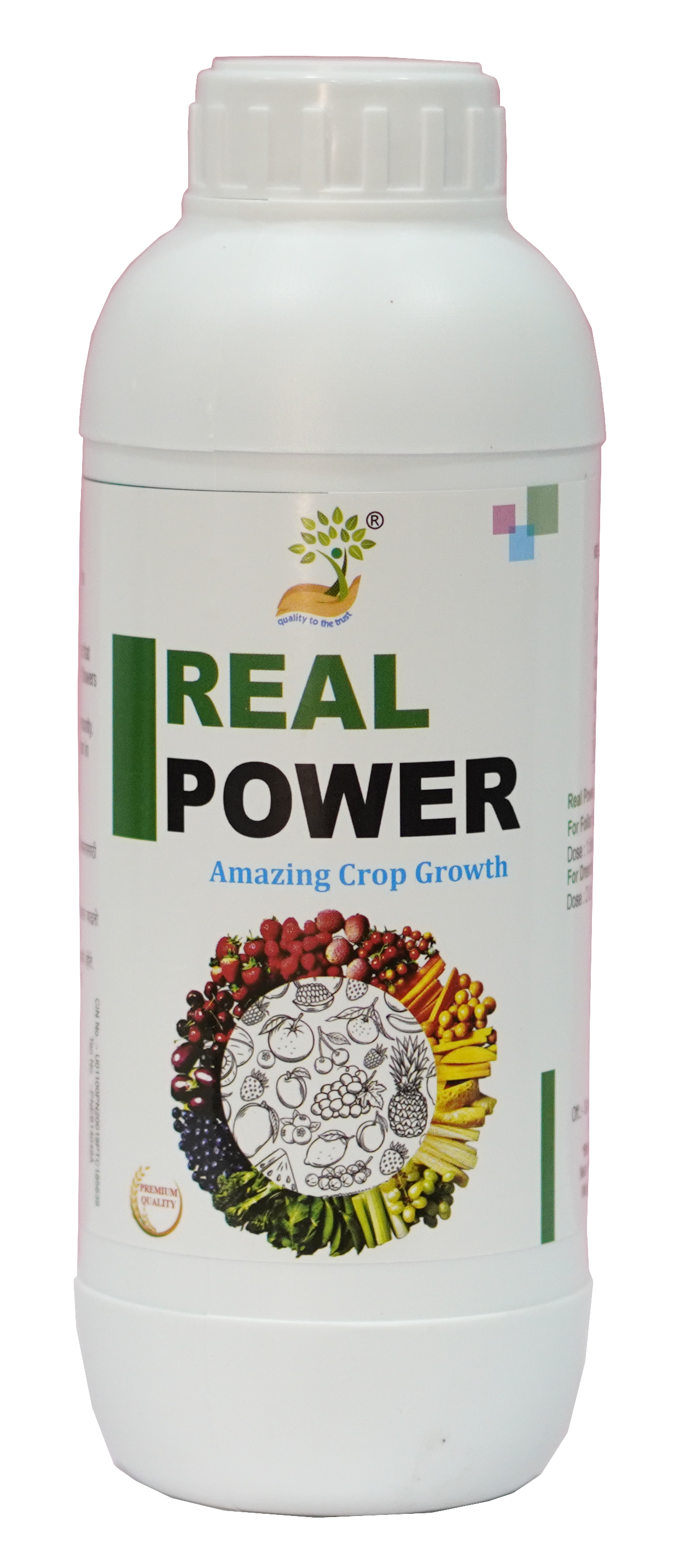 Real Power 